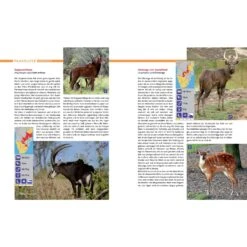 AFRIKA SAFARI REISEFÜHRER - Reiseführer -Outdoorartikel 5637362886 d afrika safari reisefuehrer 24