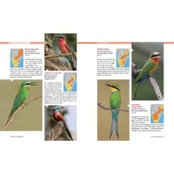 AFRIKA SAFARI REISEFÜHRER - Reiseführer -Outdoorartikel 5637362886 e afrika safari reisefuehrer 24