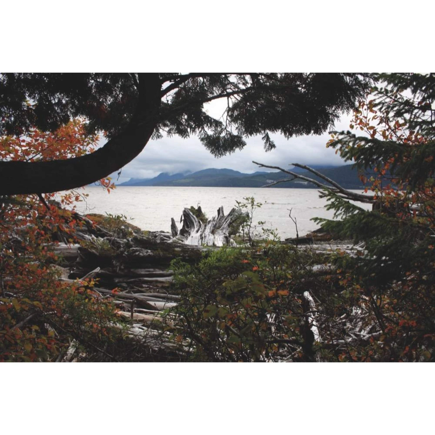 Die Hoffnung Und Der Wolf - Reisetagebuch 4 Die Hoffnung Und Der Wolf - Reisetagebuch – Bild 2